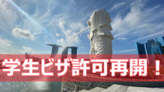 シンガポールの永住権 そのメリット デメリットの解説 シンガポール留学支援センター公式ブログ