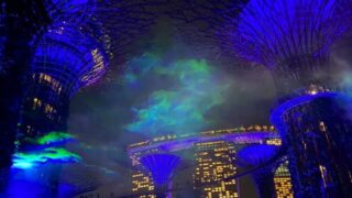 シンガポールにオーロラ出現？ ガーデンズバイザベイの新しいショー